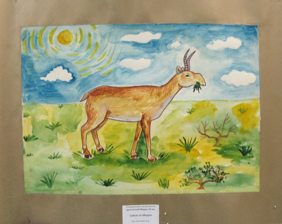 АСБК объявляет детский конкурс творческих и научных работ «Сайгак – символ казахской степи»