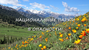  Смотреть видеофильм ″Национальные парки в опасности″″