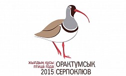 Редчайший в Казахстане серпоклюв объявлен птицей 2015 года
