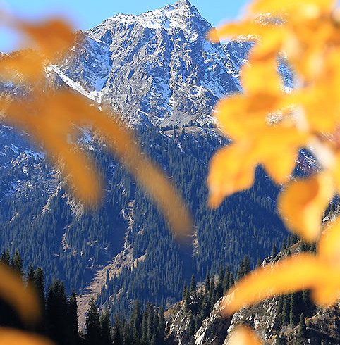 Фотоальбом «Осень в горах»