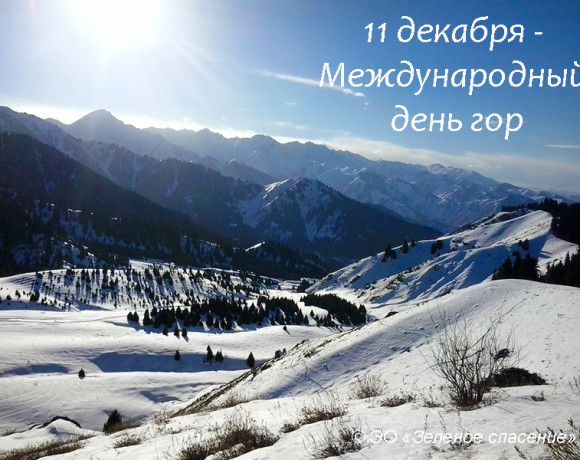 11 декабря — Международный день гор