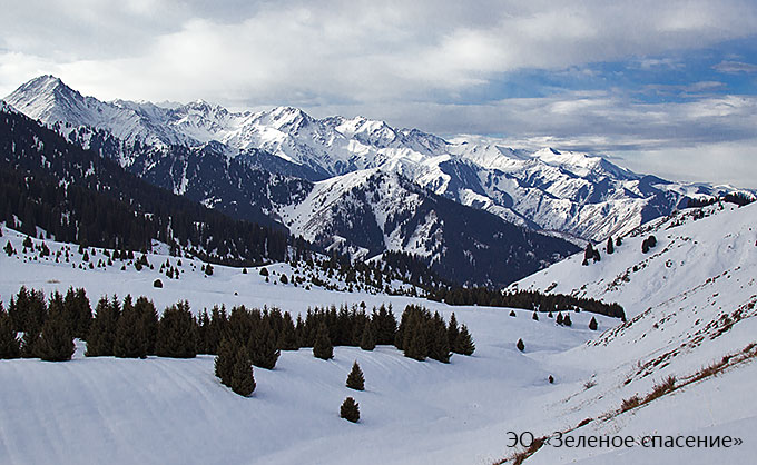 Petition against construction of the “Kok-Jailau” ski resort is filed!
