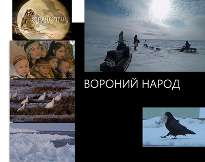 Светлана Быченко – о птицах и о людях