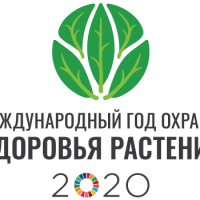 2020 год – Международный год охраны здоровья растений