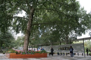 Амстердам — «Дерево, которое все видело»