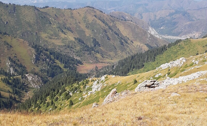 Почему Акимат Алматы не устанавливает охранную зону Иле-Алатауского национального парка?