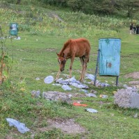 Да здравствует авоська, или Национальные парки без пластика!