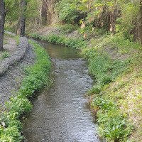 Река в роще Баума стала чище