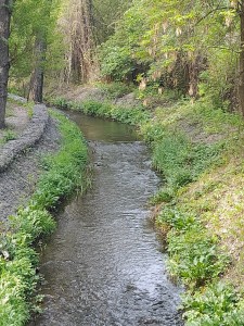 Река Мойка Роща Баума 2- (3)