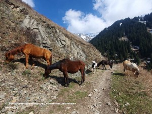 WhatsApp Image 2025-06-28 at 17.43.41+