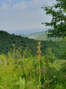 WhatsApp Image 2025-07-22 at 23.47.11