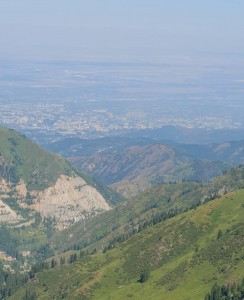 WhatsApp Image 2025-07-22 at 23.49.46