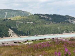 WhatsApp Image 2025-07-28 at 22.21.20+