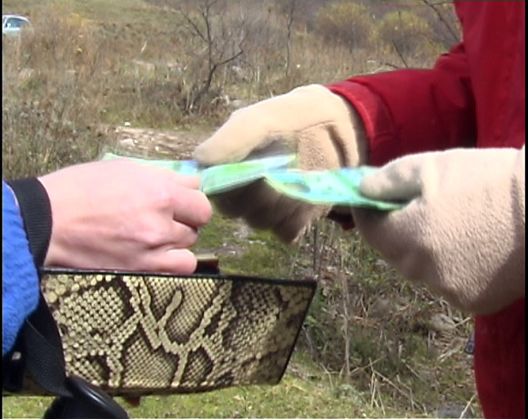 «ЧП в национальном парке»
