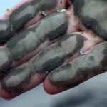 Госорганы оштрафованы за невыполнение решений судов! Часть 2