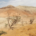 Победа здравого смысла?!