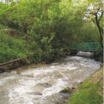 Прощай, Малая Алматинка!