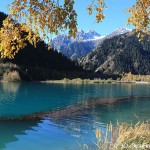 «Наше богатство» — новый видеоролик «Зеленого спасения»