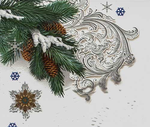 Шишки не мартышки