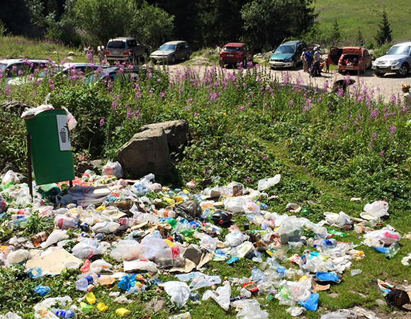 Фотомониторинг – один из методов решения экологических проблем