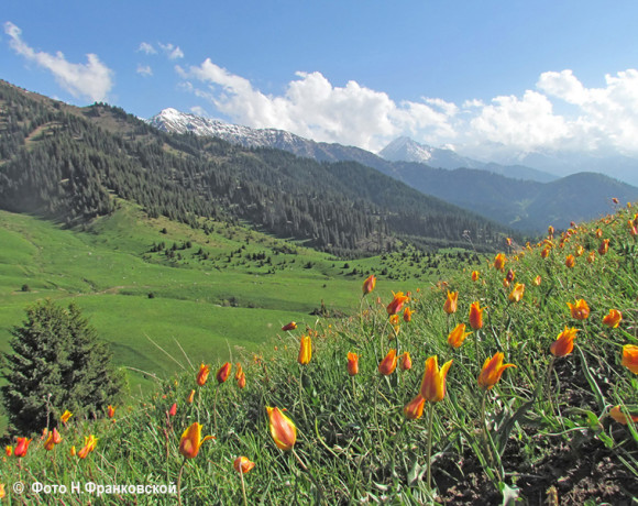 Заседание суда по проекту Кокжайлау