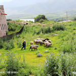 Бизнес, которому мешает все, или Всемирное наследие в опасности!