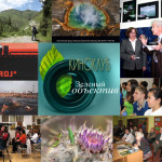 Из всех кинопроизведений для нас важнейшими являются фильмы о природе