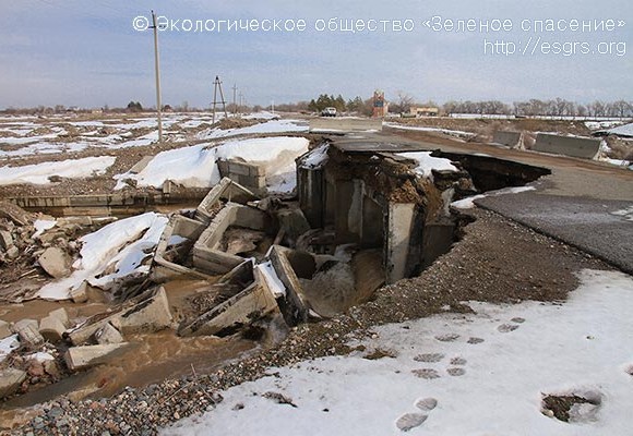 Краткий обзор судебной практики ЭО «Зеленое спасение» за 2017 год