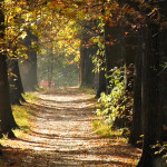 КАК СОХРАНИТЬ НАСЛЕДИЕ ПРОШЛОГО?