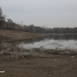 В Аэропортовском озере обнаружено фекальное загрязнение