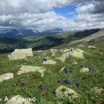 Природа Алтая