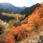 Золотая осень