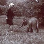 Кино о животных, или Памяти слона по имени Батырка