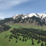 Главная цель проекта «Кокжайлау» — приватизация земли