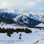 Экокалендарь. Январь