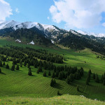 Кок-Жайляу: земля невозврата?!