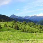 Comments to the first report of Kazakhstan on implementation of the Decision VI/8g