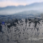 Антиорхус, или Общество дезинформации