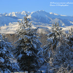 Экокалендарь. Декабрь