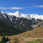 Appeal to the President of the Republic of Kazakhstan Kasym-Zhomart Tokayev