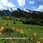 It is still a long way to the final termination of the construction of the mountain ski resort on Kok-Zhailau!