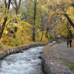 Экокалендарь. Октябрь