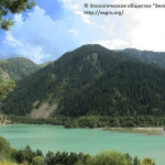 Краткий обзор судебной практики ЭО «Зеленое спасение» за 2020 год