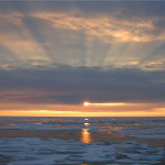 Оазис-Земля: планета в опасности