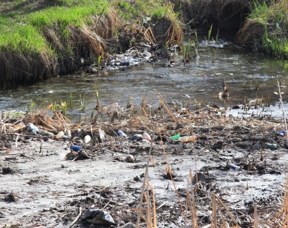 Защита права на доступ к экологической информации