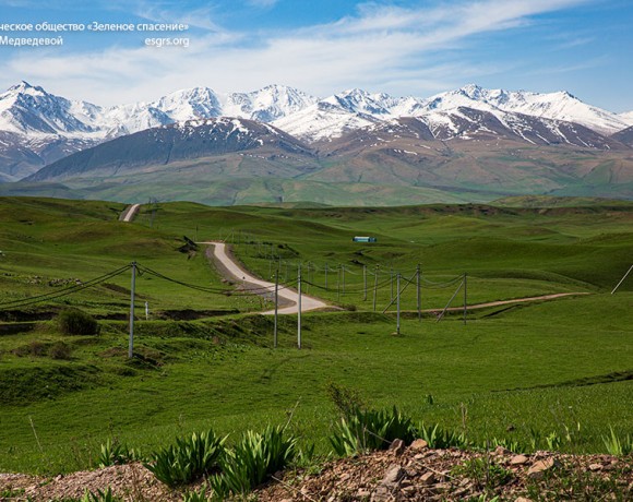 Бесправные обязанности?!