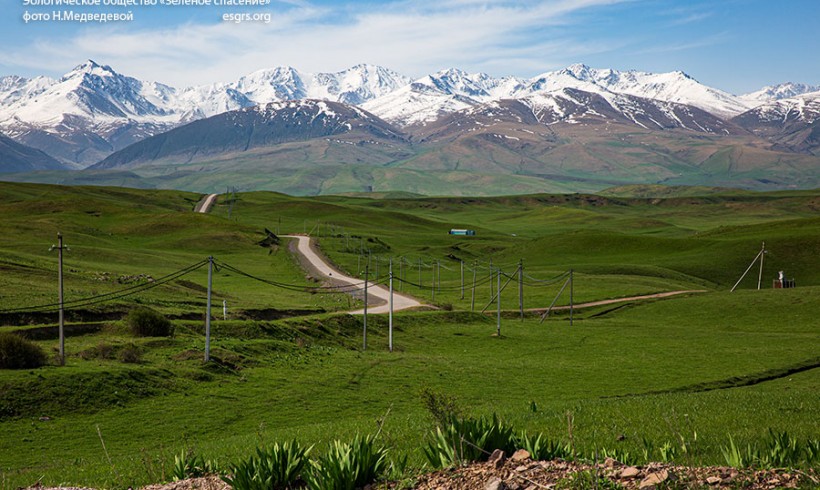 Бесправные обязанности?!