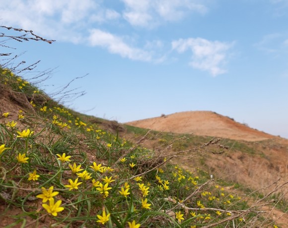 Чиновник природу защищать не обязан!
