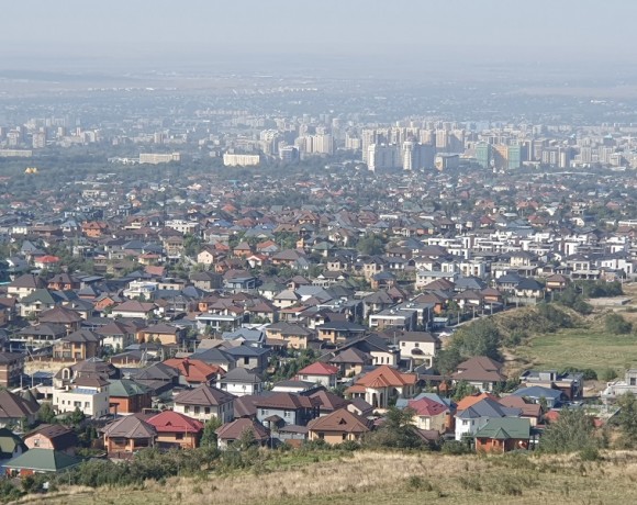 Краткий обзор судебной практики ЭО «Зеленое спасение» за 2024 год