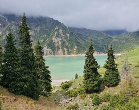 Экосистемы под значительным антропогенным давлением!